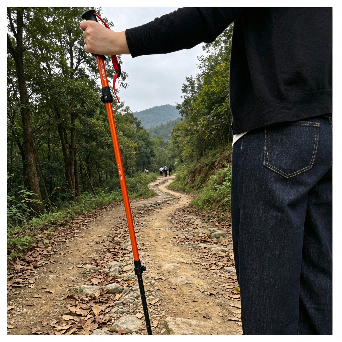 Four-Sided Hiking Staff (Trekking Pole)