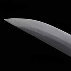 Qiankun Dual Blades